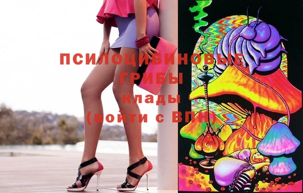 дживик Аркадак