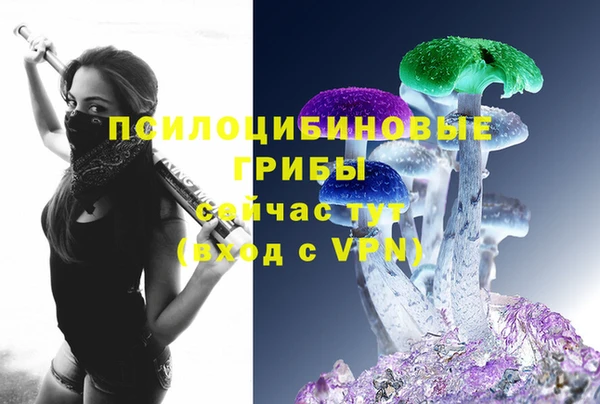2c-b Армянск